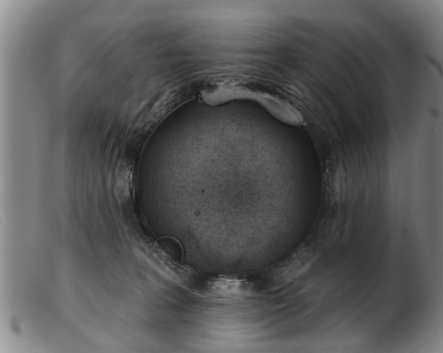 X0000103400227200809191529