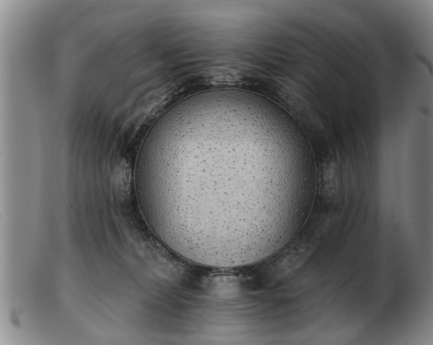 X0000103400228200809191529