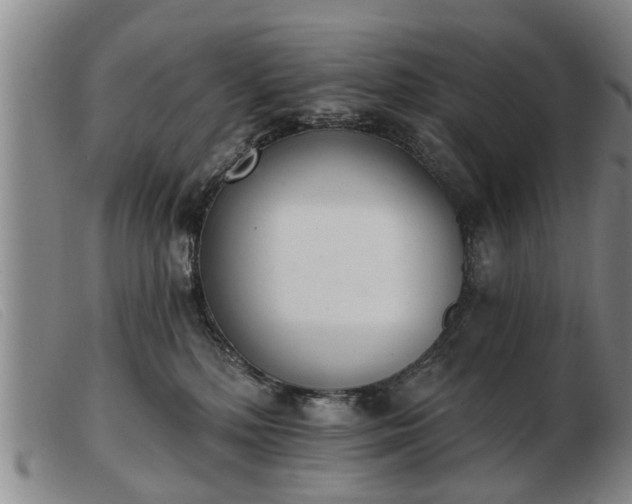 X0000103400232200809191529