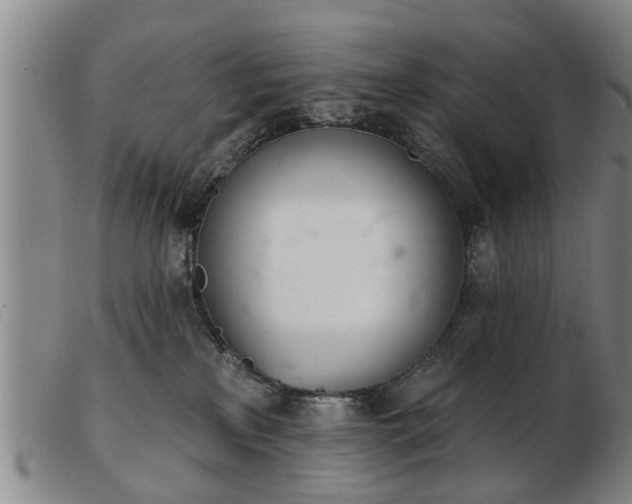 X0000103400233200809191529