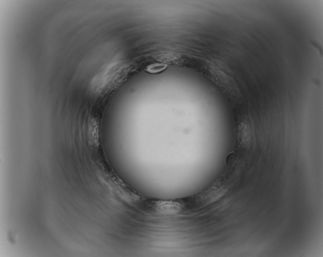 X0000103400234200809191529