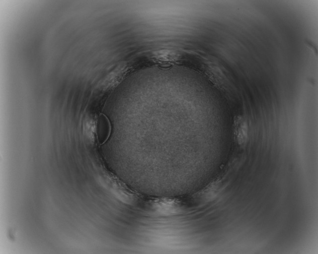 X0000103400235200809191529