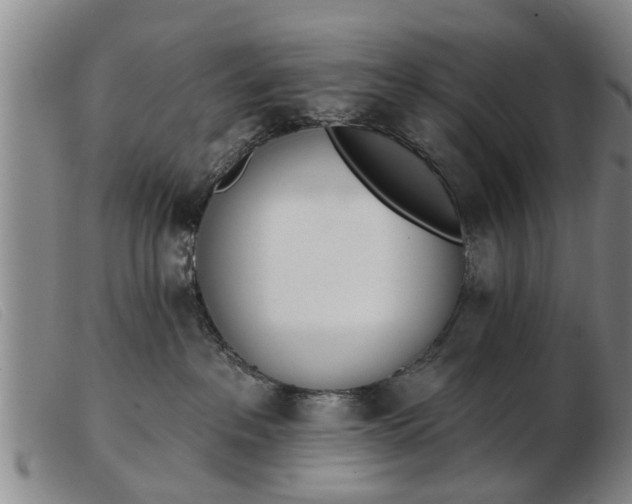 X0000103400237200809191529