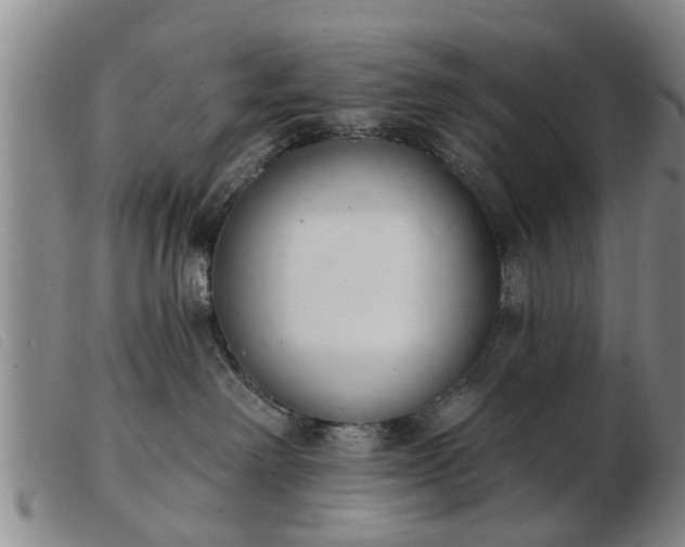 X0000103400238200809191529