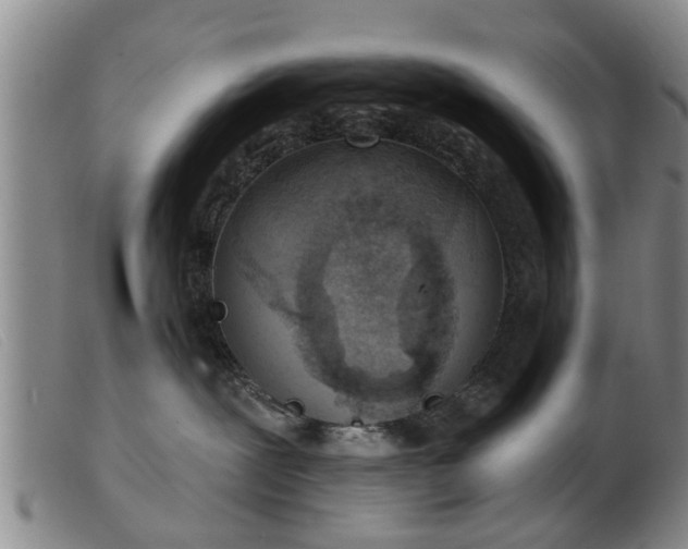 X0000103400239200809191529