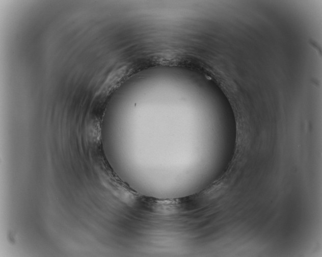 X0000103400240200809191529