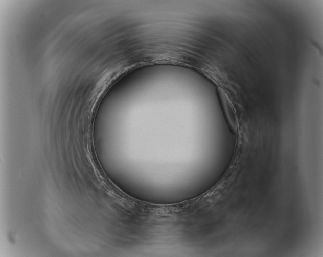 X0000103400241200809191528