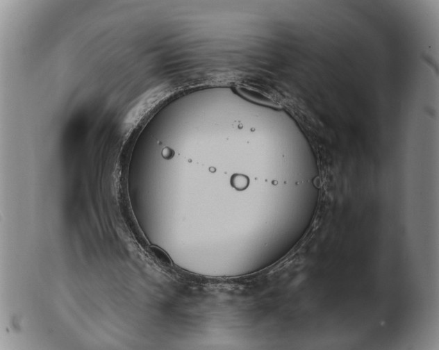 X0000103400242200809191528