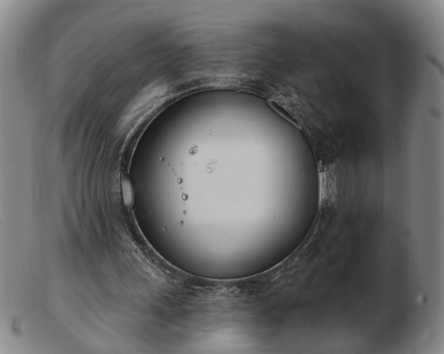 X0000103400243200809191528