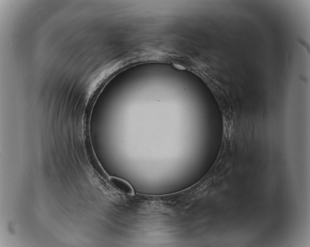 X0000103400244200809191528