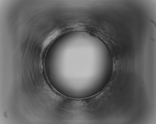 X0000103400245200809191528