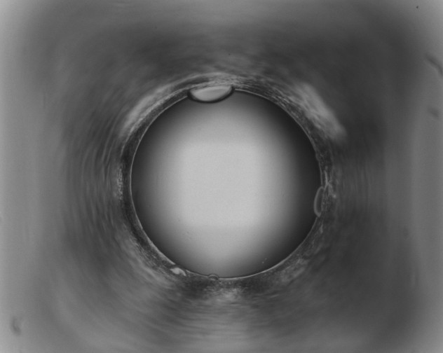 X0000103400247200809191528