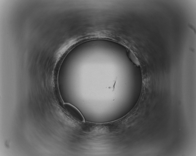 X0000103400248200809191528