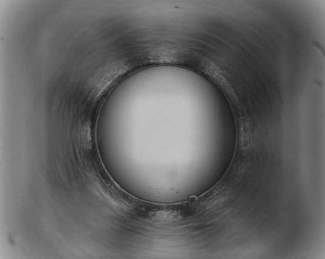 X0000103400251200809191528