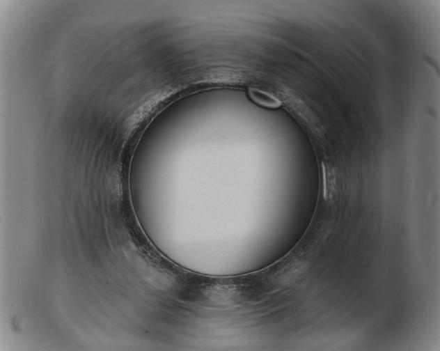 X0000103400252200809191528