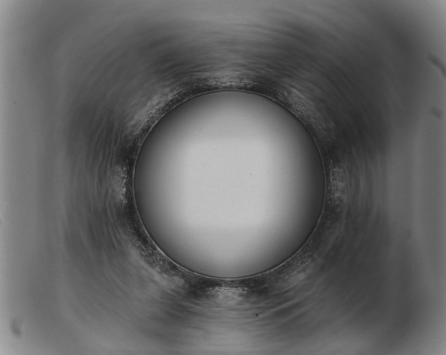 X0000103400255200809191528