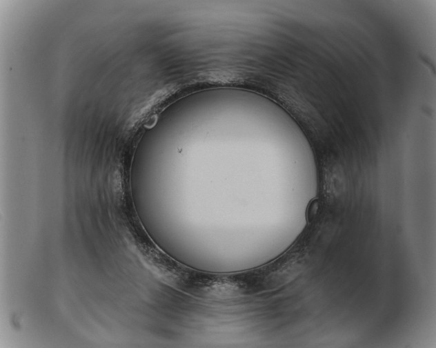 X0000103400256200809191528