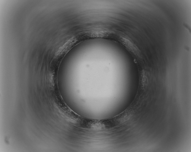 X0000103400258200809191528