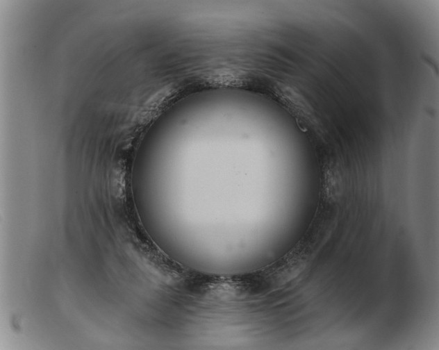 X0000103400259200809191528