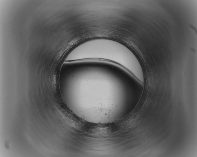 X0000103400260200809191528