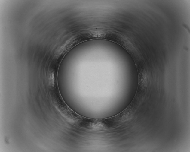 X0000103400262200809191528