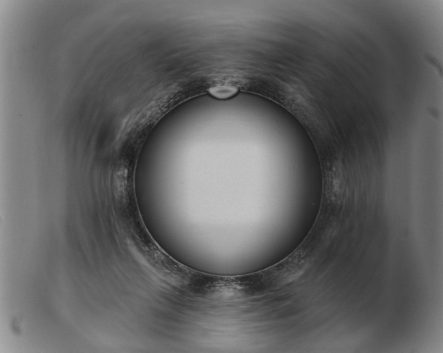 X0000103400263200809191528