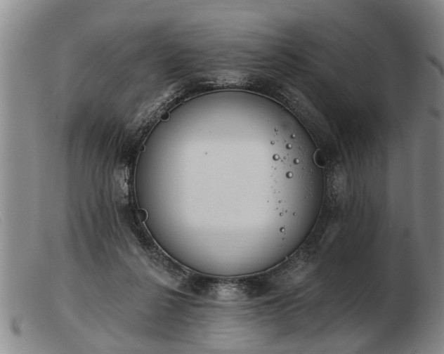 X0000103400264200809191528