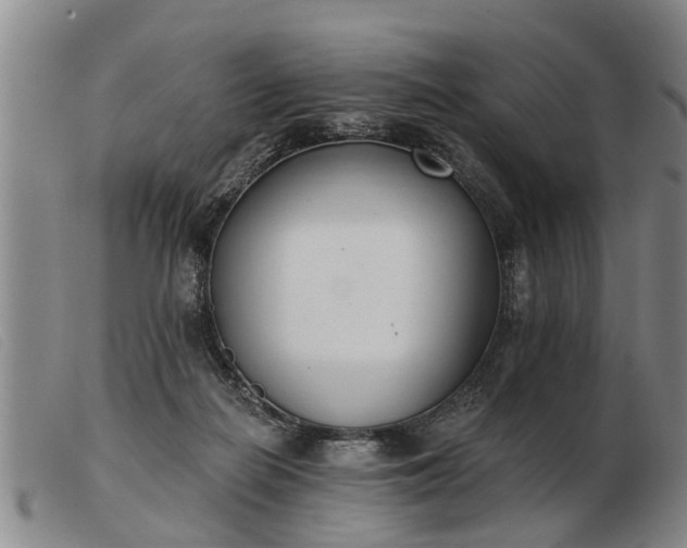 X0000103400266200809191528