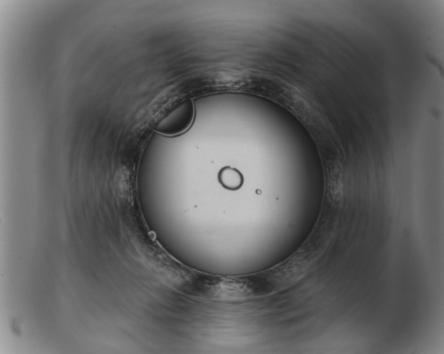 X0000103400270200809191528