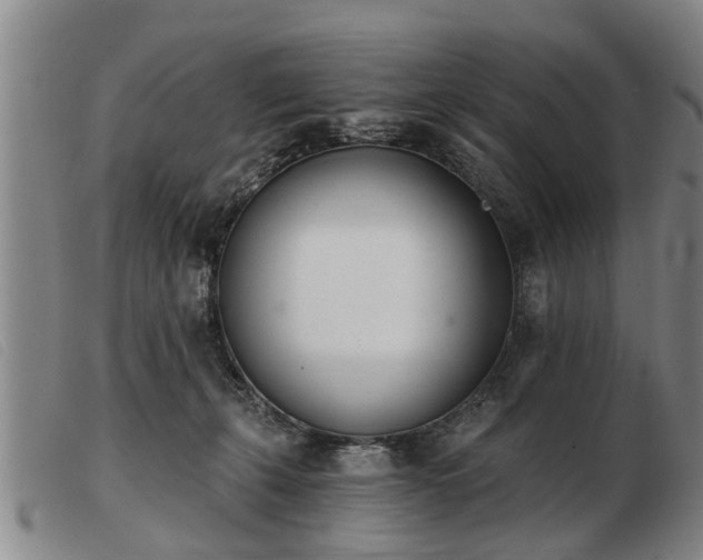 X0000103400271200809191528