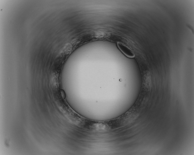 X0000103400272200809191528