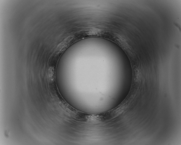 X0000103400273200809191528