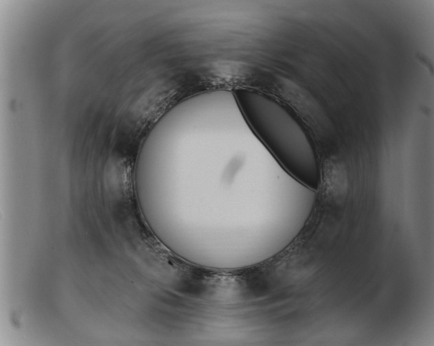 X0000103400276200809191529