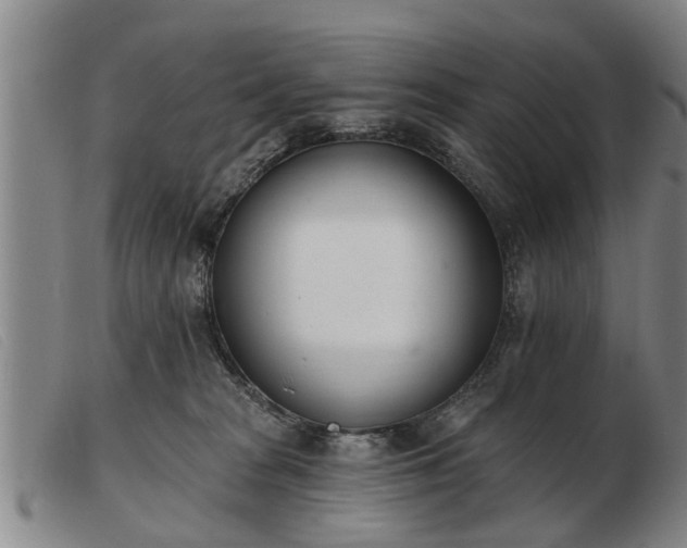 X0000103400277200809191529