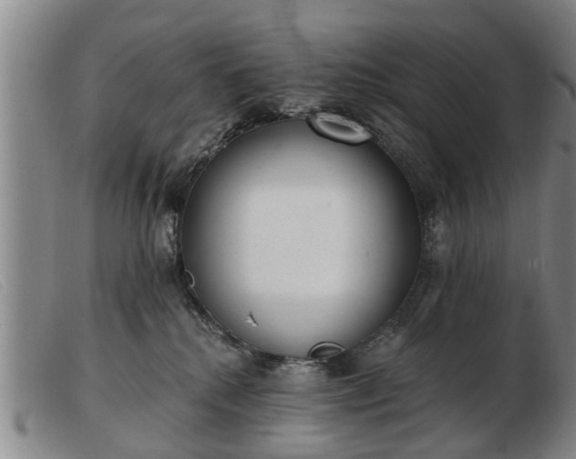 X0000103400280200809191529