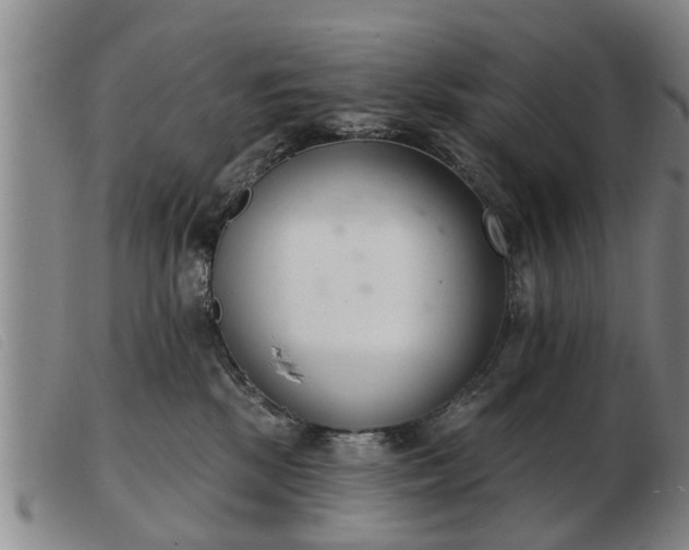 X0000103400281200809191529