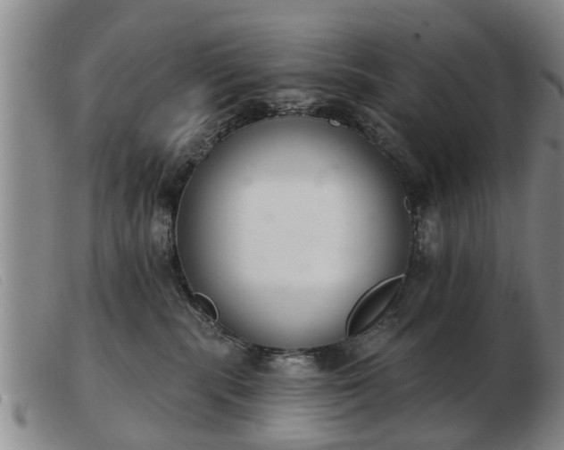 X0000103400283200809191529