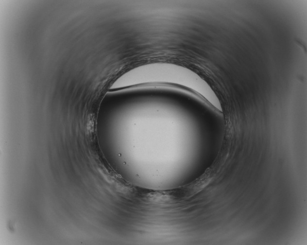 X0000103400284200809191529