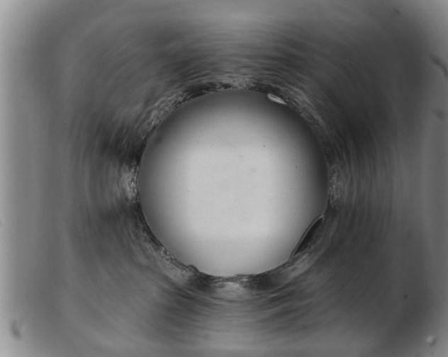 X0000103400285200809191529