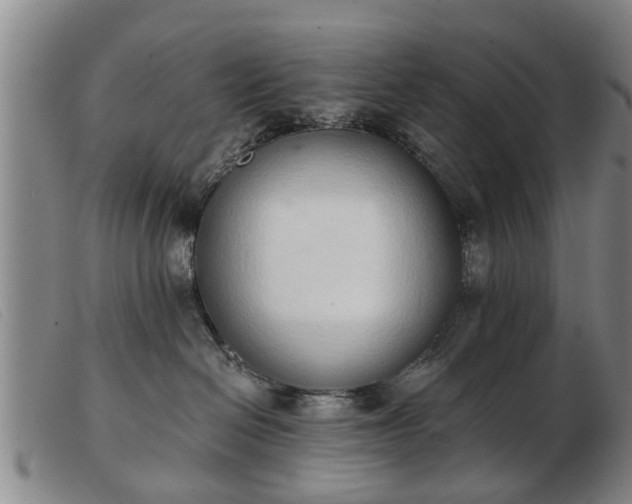 X0000103400286200809191529