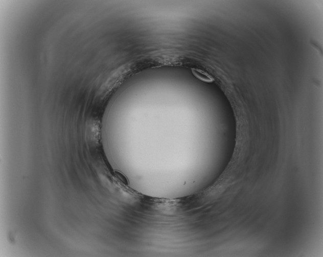 X0000103400288200809191529