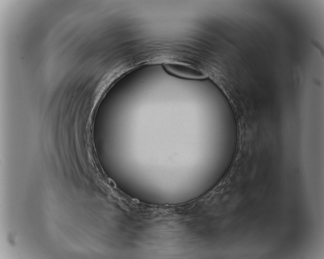 X0000103400289200809191528