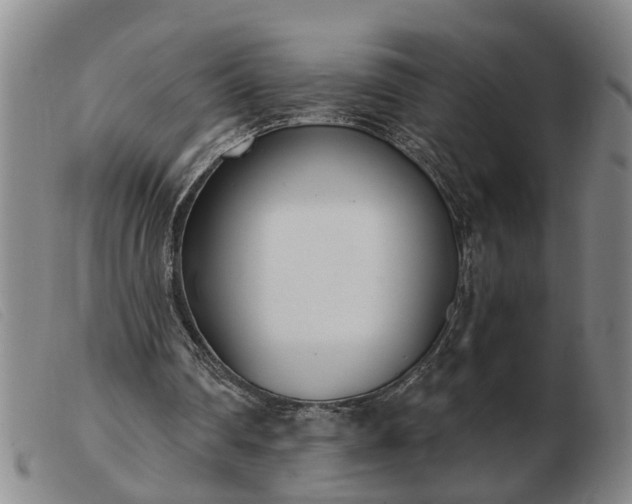 X0000103400290200809191528