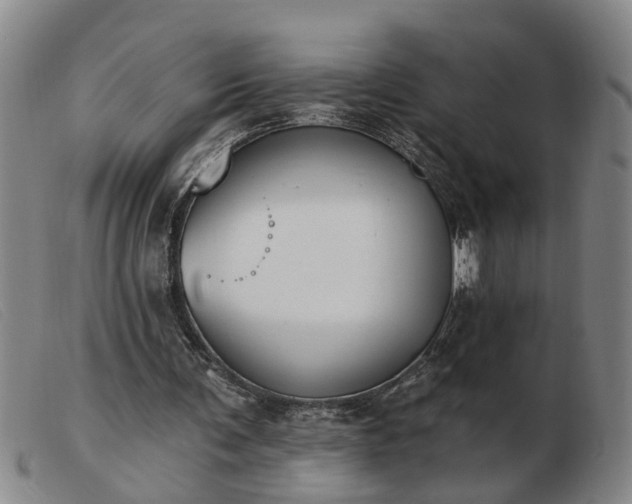 X0000103400291200809191528