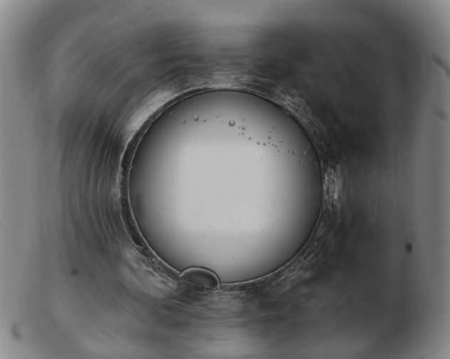 X0000103400292200809191528