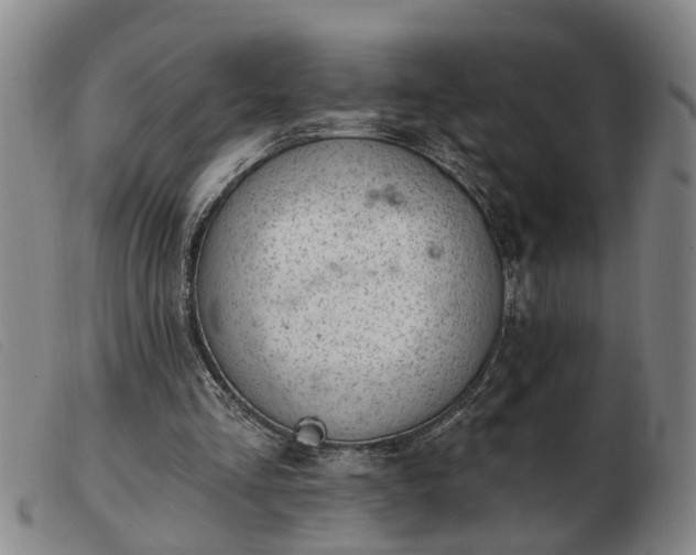 X0000103400293200809191528