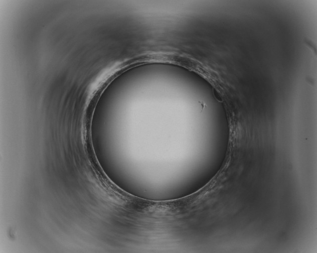 X0000103400294200809191528