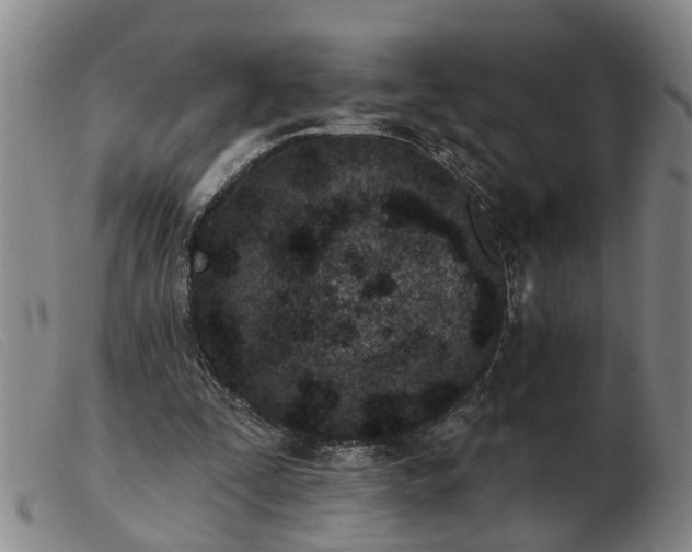 X0000103400295200809191528