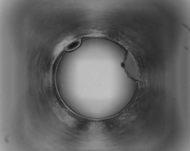 X0000103400296200809191528