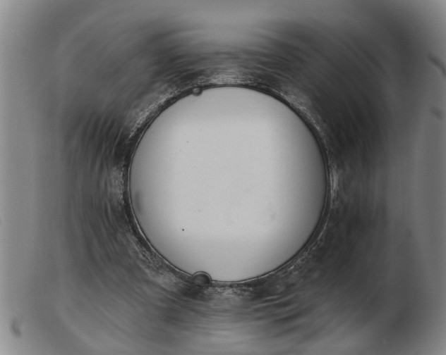 X0000103400297200809191528